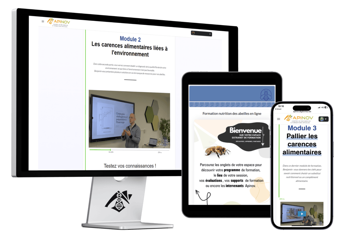 Formation apiculture en ligne