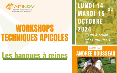 Workshop “Les banques à reines” – Andrée Rousseau