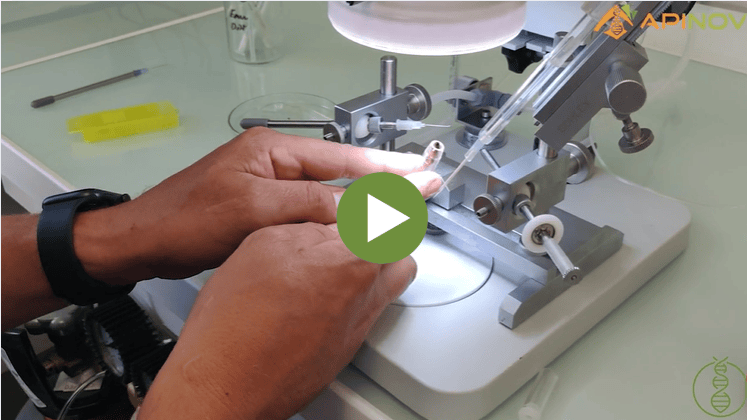 Module 3 ouverture d'une ruche