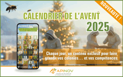 Calendrier de l&rsquo;avent apiculture