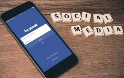 Faire connaître votre entreprise apicole grâce aux réseaux sociaux