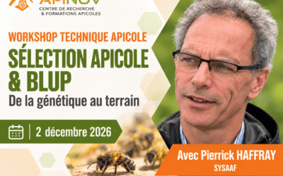 Sélection apicole et BLUP : de la génétique au terrain